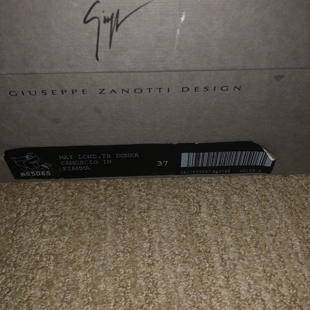 Giuseppe Zanotti